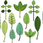 RICH88安卓公测版-RICH88正版手机APP下载IOS/安卓/网页版入口